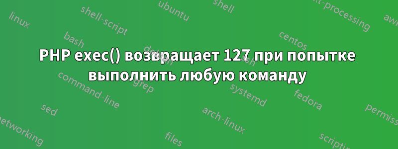 PHP exec() возвращает 127 при попытке выполнить любую команду