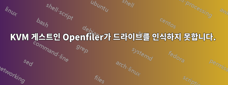 KVM 게스트인 Openfiler가 드라이브를 인식하지 못합니다.