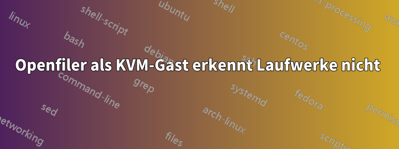 Openfiler als KVM-Gast erkennt Laufwerke nicht