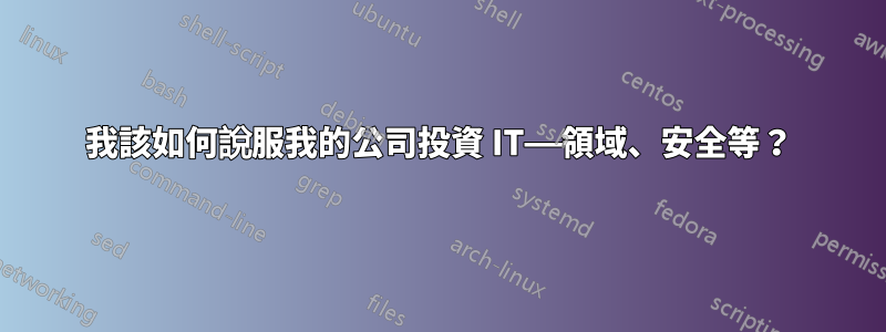 我該如何說服我的公司投資 IT——領域、安全等？