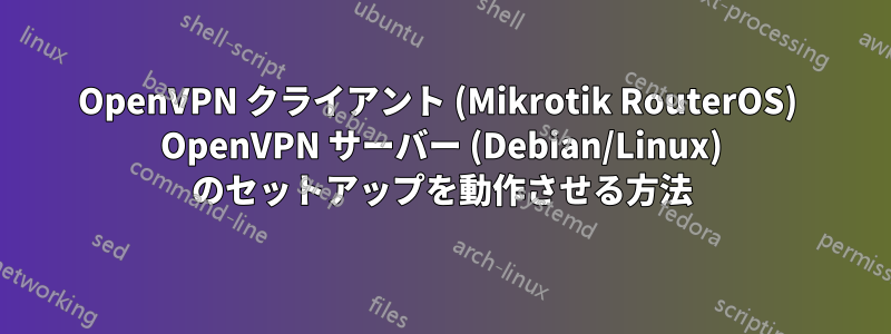 OpenVPN クライアント (Mikrotik RouterOS)  OpenVPN サーバー (Debian/Linux) のセットアップを動作させる方法