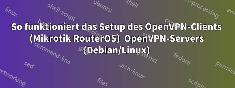 So funktioniert das Setup des OpenVPN-Clients (Mikrotik RouterOS)  OpenVPN-Servers (Debian/Linux)