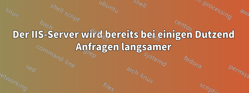 Der IIS-Server wird bereits bei einigen Dutzend Anfragen langsamer