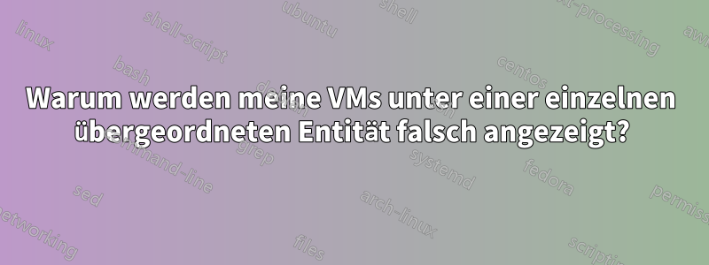 Warum werden meine VMs unter einer einzelnen übergeordneten Entität falsch angezeigt?