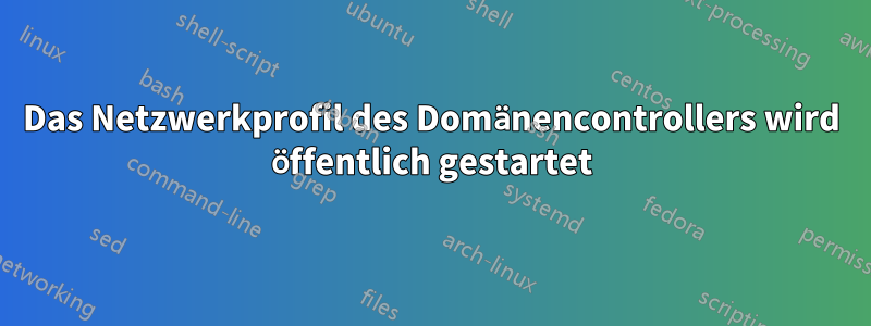 Das Netzwerkprofil des Domänencontrollers wird öffentlich gestartet