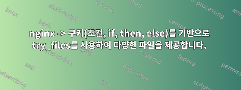 nginx -> 쿠키(조건, if, then, else)를 기반으로 try_files를 사용하여 다양한 파일을 제공합니다.