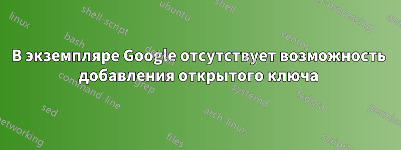 В экземпляре Google отсутствует возможность добавления открытого ключа