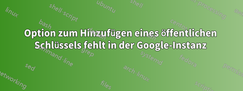 Option zum Hinzufügen eines öffentlichen Schlüssels fehlt in der Google-Instanz