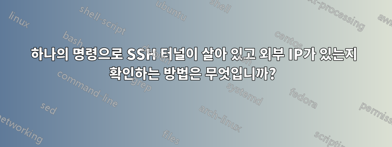 하나의 명령으로 SSH 터널이 살아 있고 외부 IP가 있는지 확인하는 방법은 무엇입니까? 