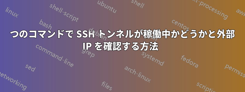 1 つのコマンドで SSH トンネルが稼働中かどうかと外部 IP を確認する方法 