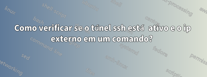 Como verificar se o túnel ssh está ativo e o ip externo em um comando? 