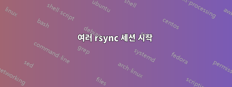 여러 rsync 세션 시작