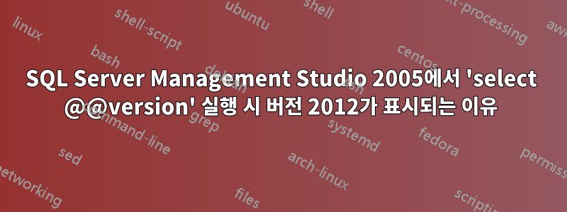 SQL Server Management Studio 2005에서 'select @@version' 실행 시 버전 2012가 표시되는 이유