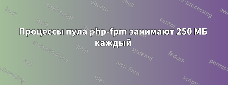 Процессы пула php-fpm занимают 250 МБ каждый