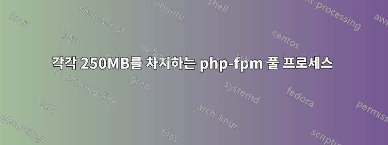 각각 250MB를 차지하는 php-fpm 풀 프로세스