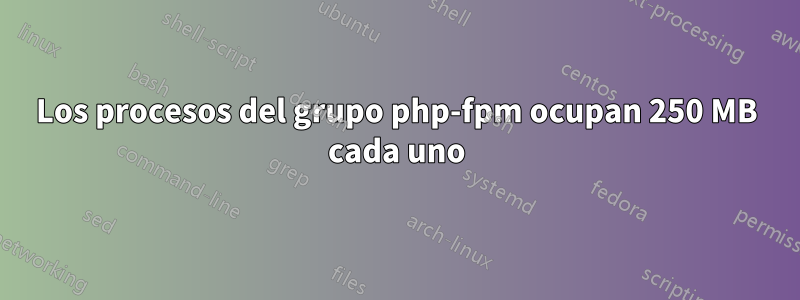 Los procesos del grupo php-fpm ocupan 250 MB cada uno