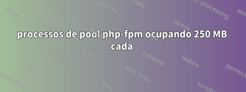 processos de pool php-fpm ocupando 250 MB cada