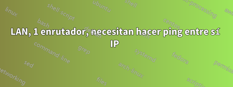 2 LAN, 1 enrutador, necesitan hacer ping entre sí IP 