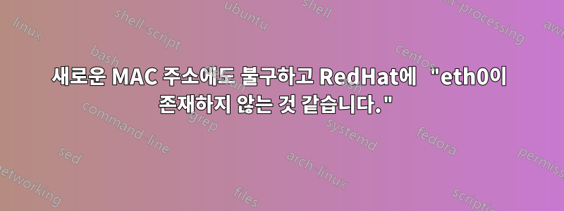 새로운 MAC 주소에도 불구하고 RedHat에 "eth0이 존재하지 않는 것 같습니다."