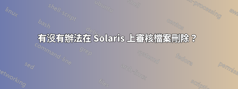 有沒有辦法在 Solaris 上審核檔案刪除？