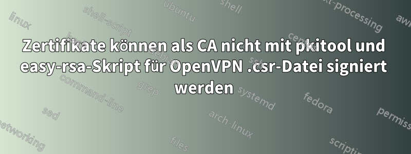 Zertifikate können als CA nicht mit pkitool und easy-rsa-Skript für OpenVPN .csr-Datei signiert werden