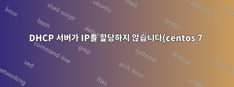 DHCP 서버가 IP를 할당하지 않습니다(centos 7)