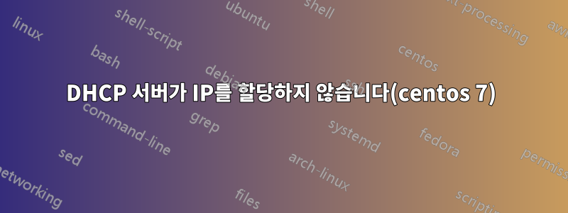 DHCP 서버가 IP를 할당하지 않습니다(centos 7)