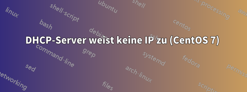 DHCP-Server weist keine IP zu (CentOS 7)