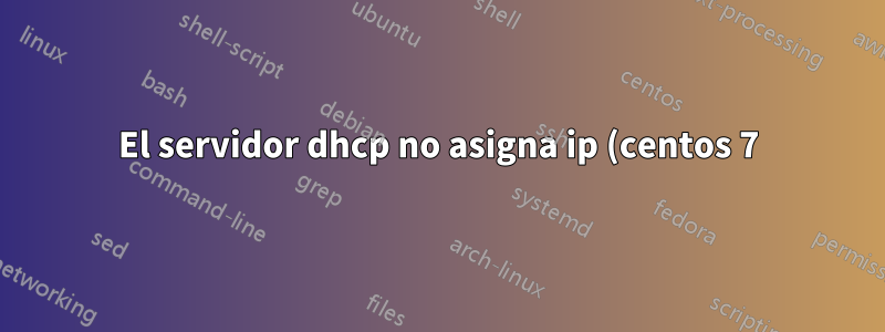 El servidor dhcp no asigna ip (centos 7)