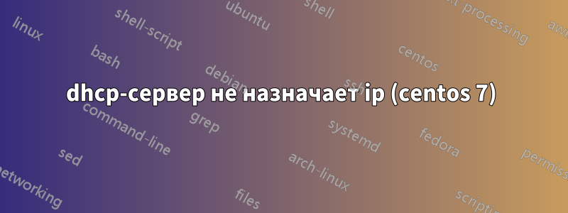 dhcp-сервер не назначает ip (centos 7)