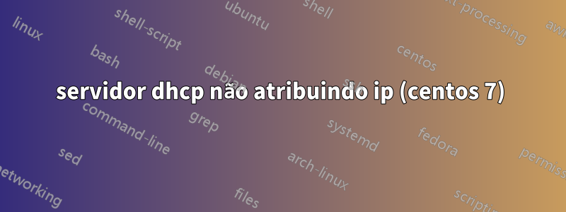 servidor dhcp não atribuindo ip (centos 7)