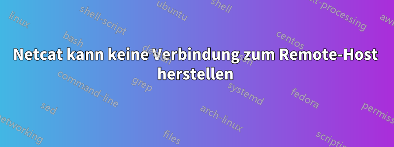 Netcat kann keine Verbindung zum Remote-Host herstellen