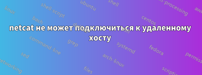 netcat не может подключиться к удаленному хосту