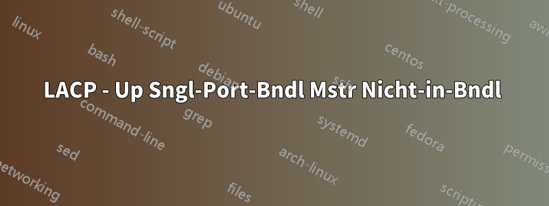 LACP - Up Sngl-Port-Bndl Mstr Nicht-in-Bndl