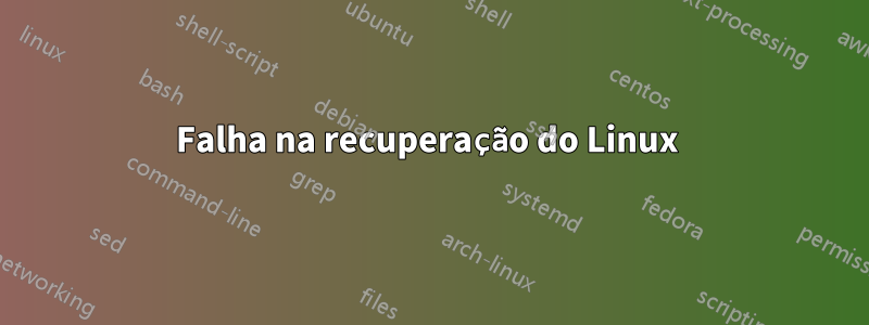 Falha na recuperação do Linux 