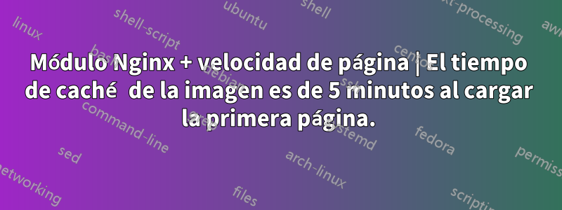 Módulo Nginx + velocidad de página | El tiempo de caché de la imagen es de 5 minutos al cargar la primera página.