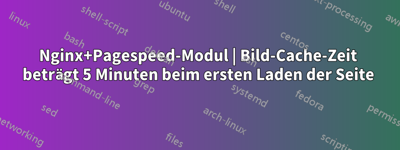 Nginx+Pagespeed-Modul | Bild-Cache-Zeit beträgt 5 Minuten beim ersten Laden der Seite