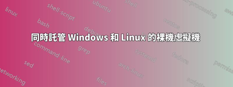 同時託管 Windows 和 Linux 的裸機虛擬機