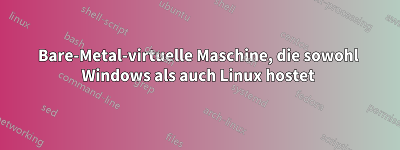 Bare-Metal-virtuelle Maschine, die sowohl Windows als auch Linux hostet