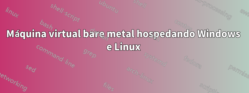 Máquina virtual bare metal hospedando Windows e Linux