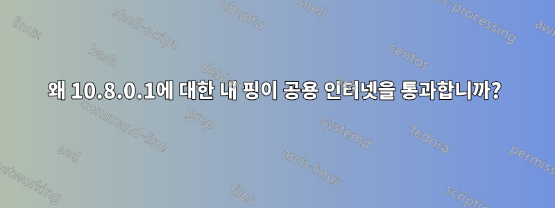 왜 10.8.0.1에 대한 내 핑이 공용 인터넷을 통과합니까?