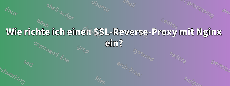 Wie richte ich einen SSL-Reverse-Proxy mit Nginx ein?