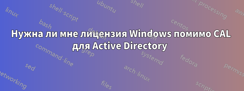 Нужна ли мне лицензия Windows помимо CAL для Active Directory 