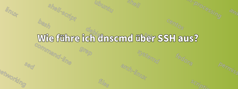 Wie führe ich dnscmd über SSH aus?