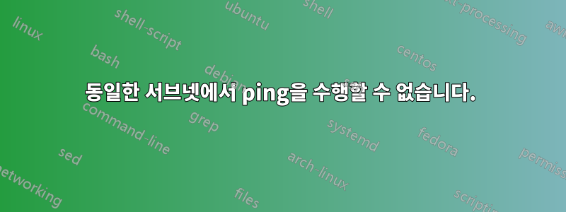 동일한 서브넷에서 ping을 수행할 수 없습니다.