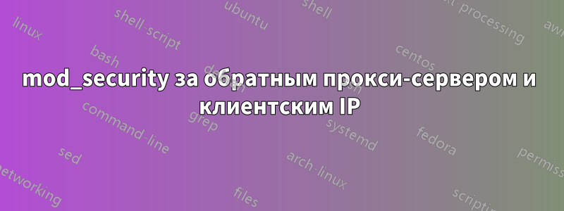 mod_security за обратным прокси-сервером и клиентским IP