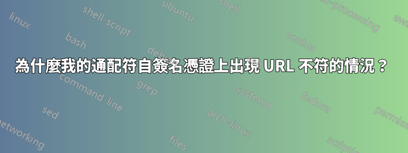 為什麼我的通配符自簽名憑證上出現 URL 不符的情況？