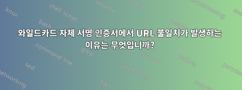 와일드카드 자체 서명 인증서에서 URL 불일치가 발생하는 이유는 무엇입니까?