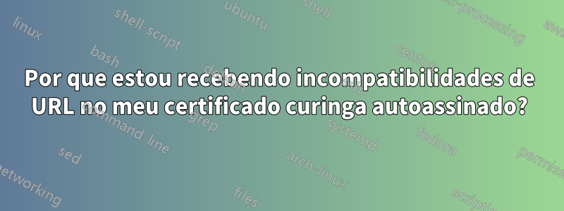 Por que estou recebendo incompatibilidades de URL no meu certificado curinga autoassinado?