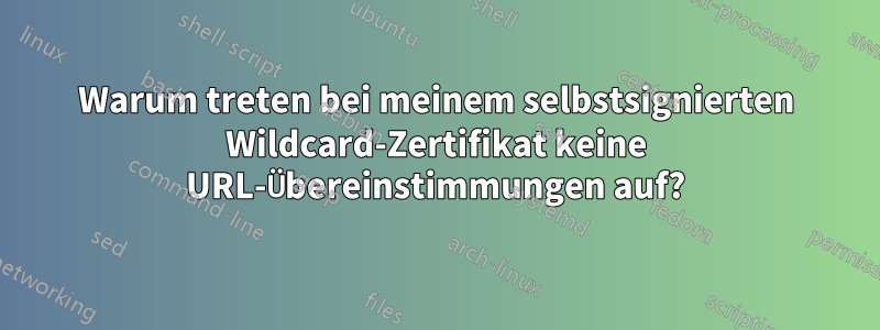 Warum treten bei meinem selbstsignierten Wildcard-Zertifikat keine URL-Übereinstimmungen auf?